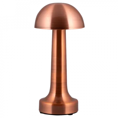 Беспроводной светильник WC200